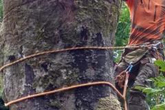 IMG-20211207-WA0004