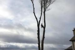 IMG-20220129-WA0001