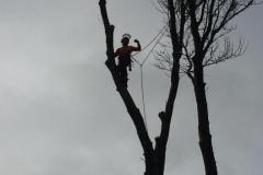 IMG-20220129-WA0004