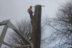 IMG-20220204-WA0000