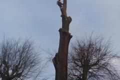 IMG-20220204-WA0002